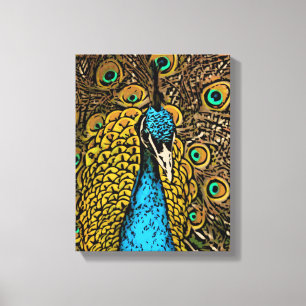 Peacock Splendor Illustration Canvas Print