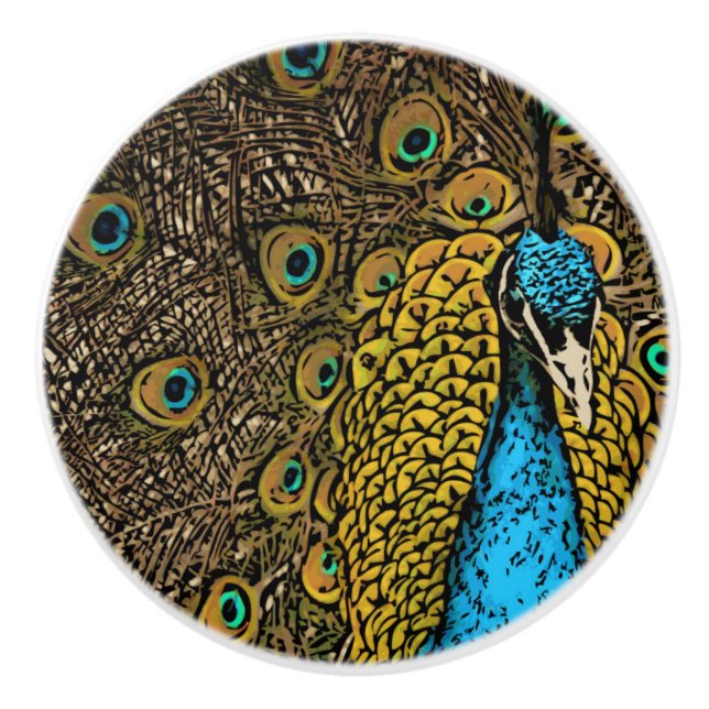 Peacock Splendor Illustration Ceramic Knob (Front)