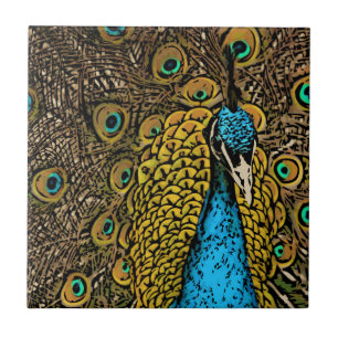 Peacock Splendor Illustration Ceramic Tile