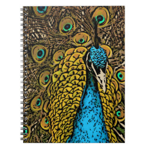 Peacock Splendor Illustration Notebook