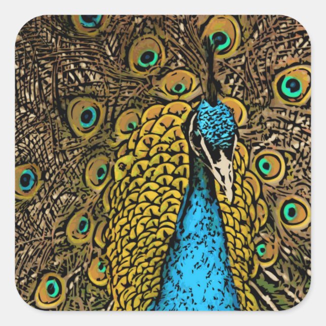 Peacock Splendor Illustration Square Sticker (Front)