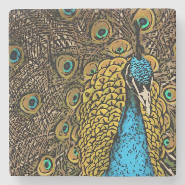 Peacock Splendor Illustration Stone Coaster (Front)