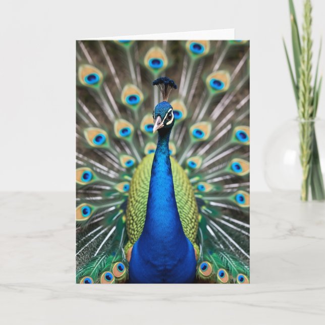 Peacock Splendor Mothers Day Card (Front)