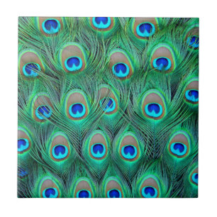Peacock Splendor Tile