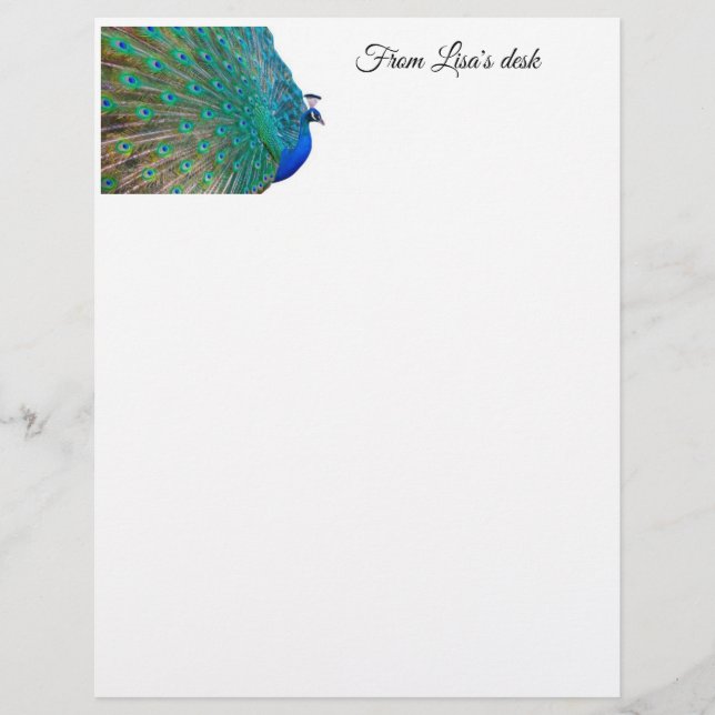 Peacock Stationary Letterhead (Front)