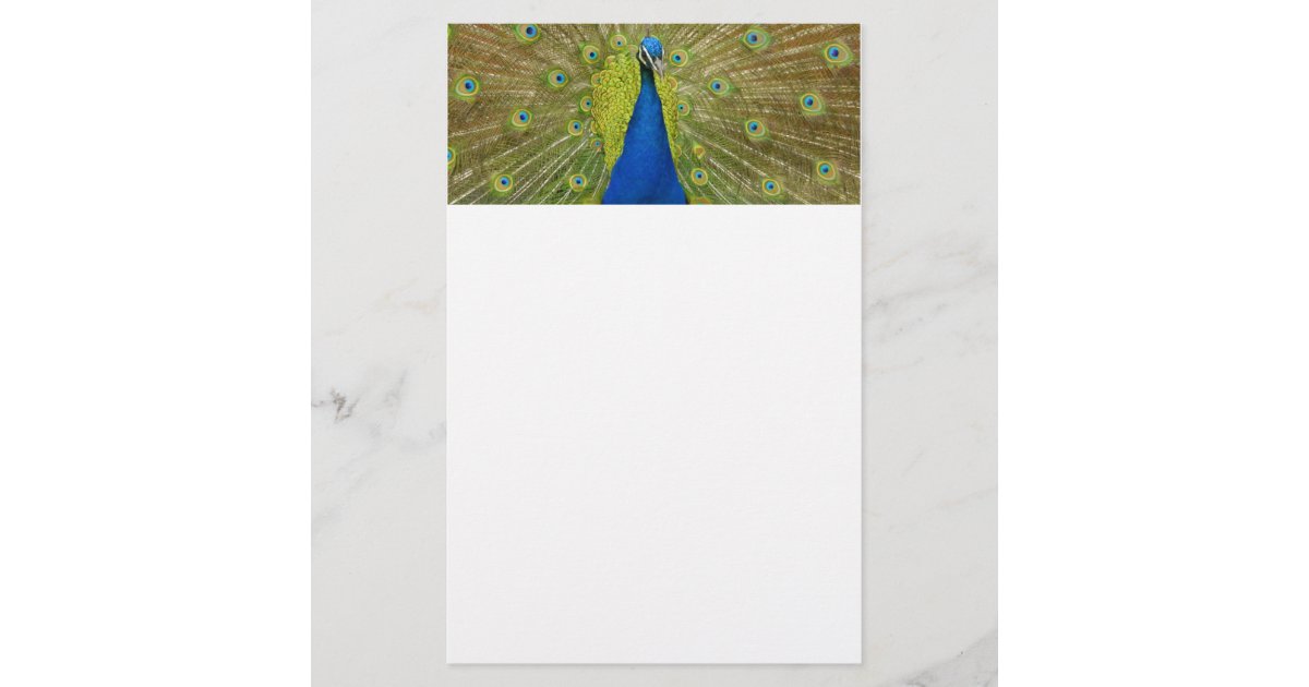 Peacock Stationary Stationery | Zazzle
