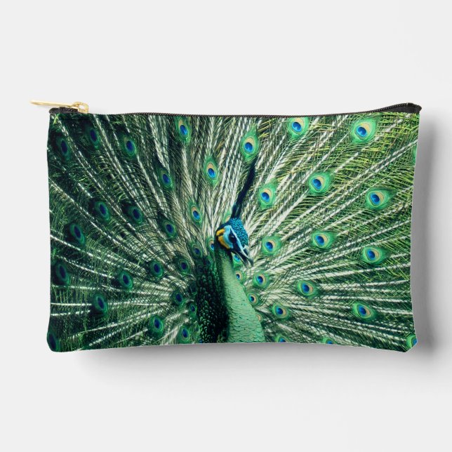 Peacock Strut  Accessory Pouch (Front)