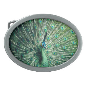Peacock Strut Belt Buckle
