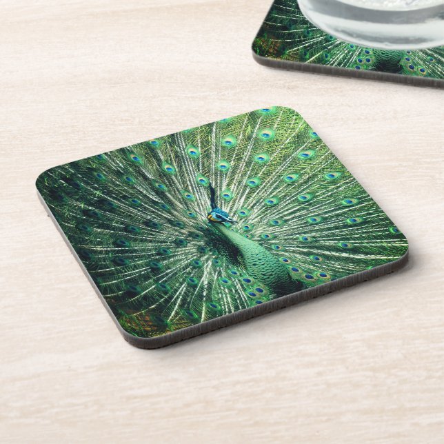 Peacock Strut  Beverage Coaster (Left Side)