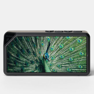 Peacock Strut  Bluetooth Speaker