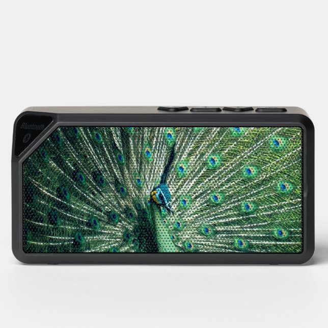 Peacock Strut  Bluetooth Speaker (Front)
