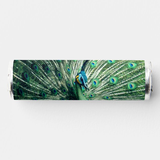 Peacock Strut  Breath Savers® Mints (Front)