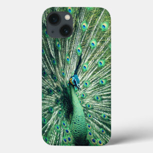 Peacock Strut iPhone 13 Case