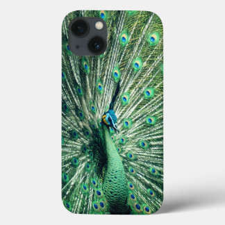 Peacock Strut  iPhone 13 Case
