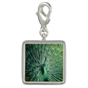 Peacock Strut  Charm