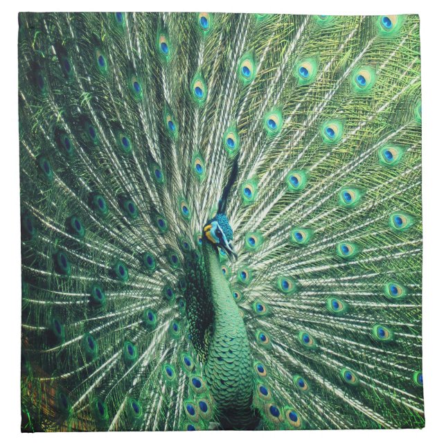 Peacock Strut  Cloth Napkin (Front)