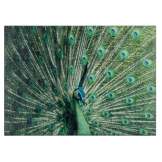 Peacock Strut  Cutting Board