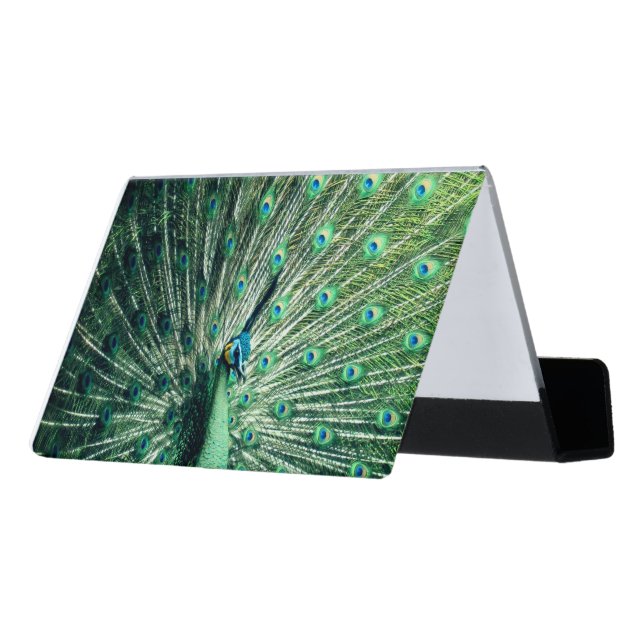 Peacock Strut  Desk Business Card Holder (Angled Back)