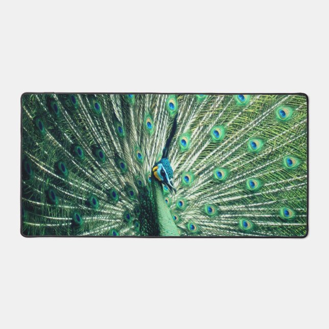 Peacock Strut  Desk Mat (Front)