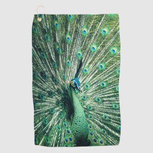 Peacock Strut  Golf Towel