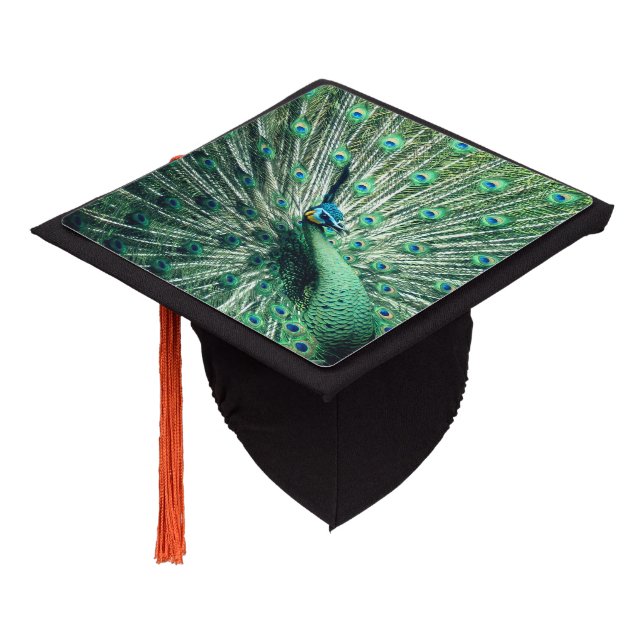 Peacock Strut  Graduation Cap Topper (Angled)