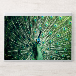 Peacock Strut HP Laptop Skin