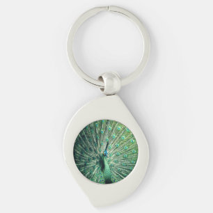 Peacock Strut  Keychain