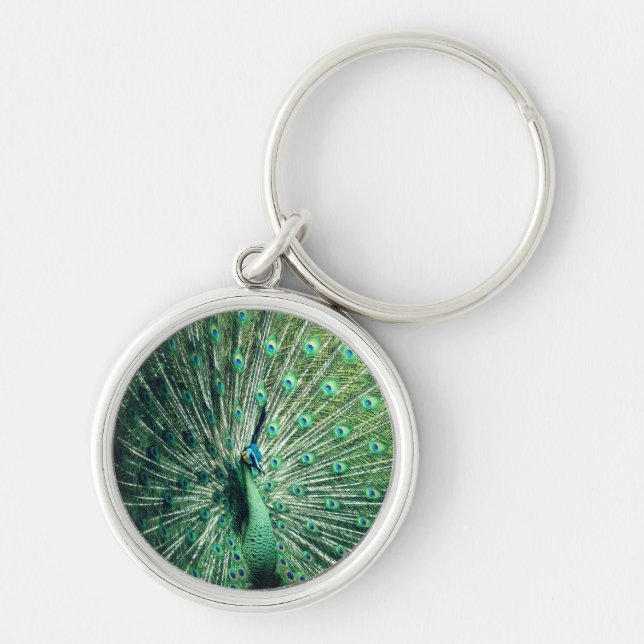Peacock Strut  Keychain (Front)