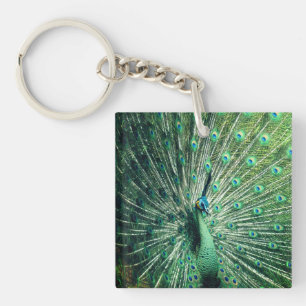 Peacock Strut Keychain