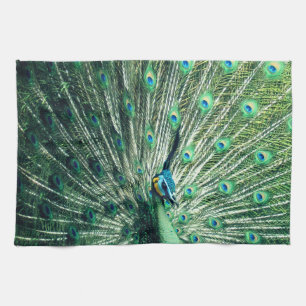Peacock Strut  Kitchen Towel
