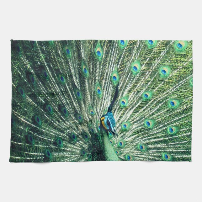 Peacock Strut  Kitchen Towel (Horizontal)