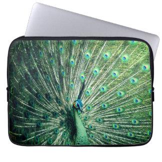 Peacock Strut  Laptop Sleeve