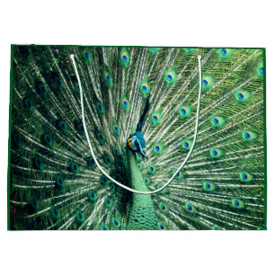 Peacock Strut Large Gift Bag