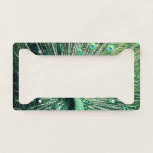 Peacock Strut License Plate Frame