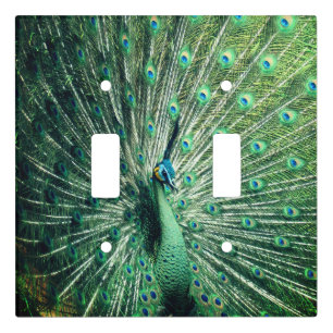 Peacock Strut Light Switch Cover