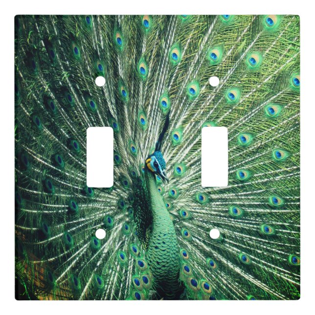 Peacock Strut  Light Switch Cover (Front)