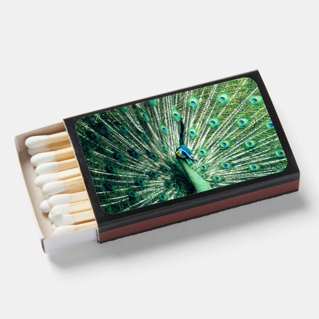 Peacock Strut  Matchboxes (Front Open)