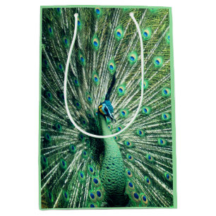 Peacock Strut Medium Gift Bag