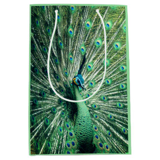 Peacock Strut  Medium Gift Bag