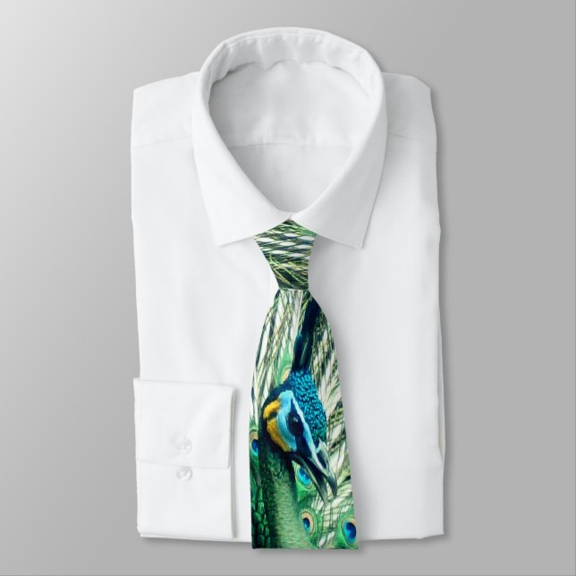 Peacock Strut  Neck Tie (Tied)