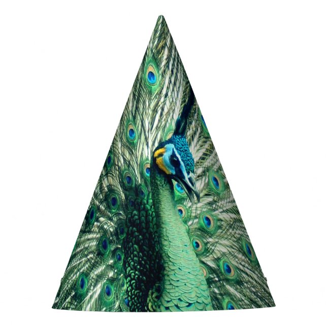 Peacock Strut  Party Hat (Front)