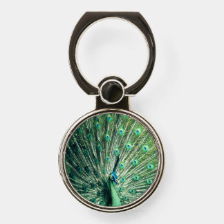 Peacock Strut  Phone Ring Stand