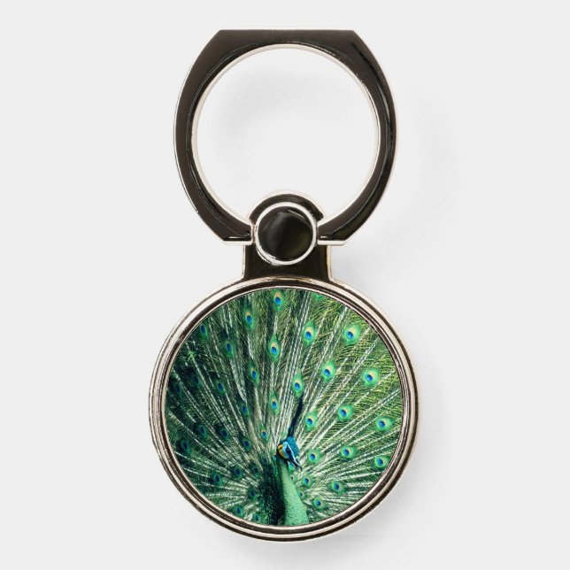 Peacock Strut  Phone Ring Stand (Front)