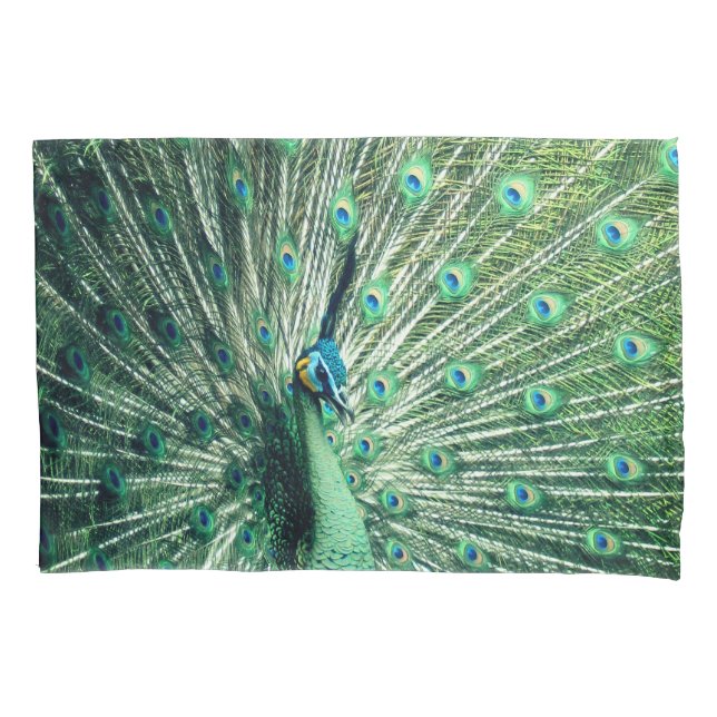 Peacock Strut  Pillow Case (Front)