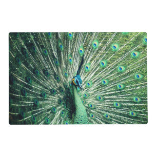 Peacock Strut Placemat