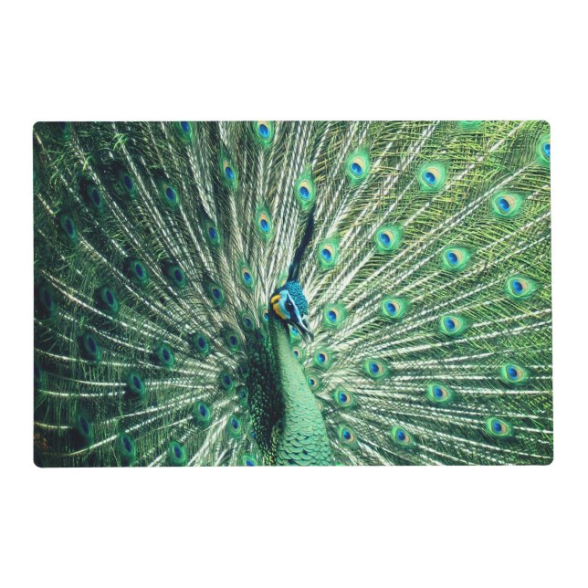 Peacock Strut  Placemat (Front)