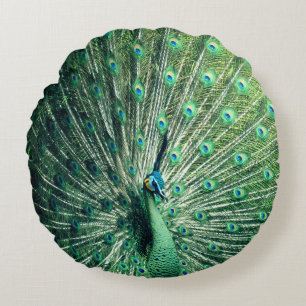 Peacock Strut Round Pillow