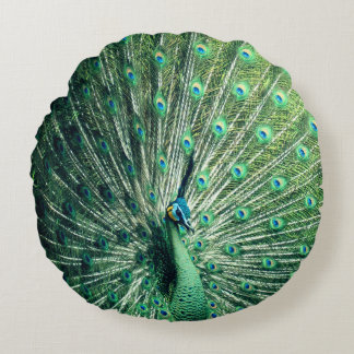 Peacock Strut Round Pillow
