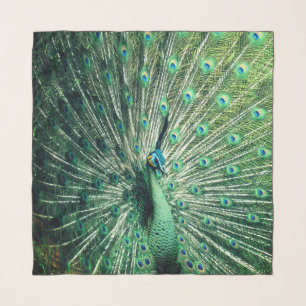 Peacock Strut Scarf