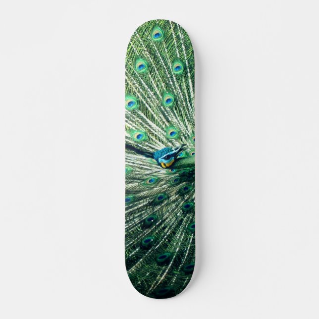 Peacock Strut  Skateboard (Front)